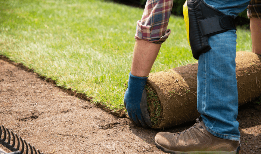 Mo Better Lawn Service